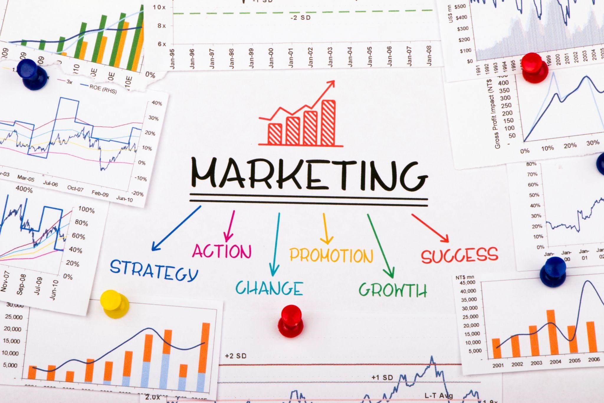 Proven Results: Success Stories from Network Local’s Marketing Case Studies hero image