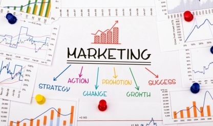 Proven Results: Success Stories from Network Local’s Marketing Case Studies section image