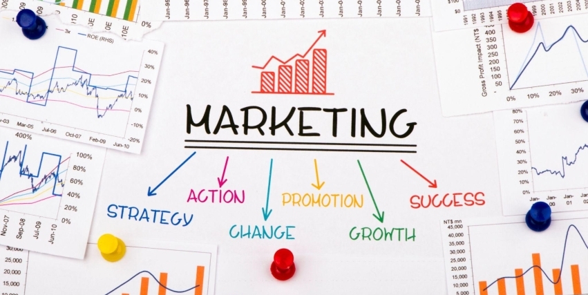 Proven Results: Success Stories from Network Local’s Marketing Case Studies hero image