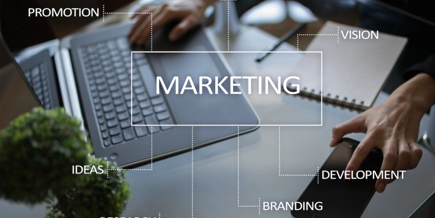 Unveiling the Power of Organic Search Placement for Small Businesses hero image